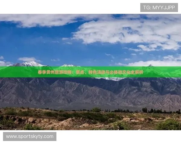 开运备用平台在不同文化背景下的应用差异与特色解析