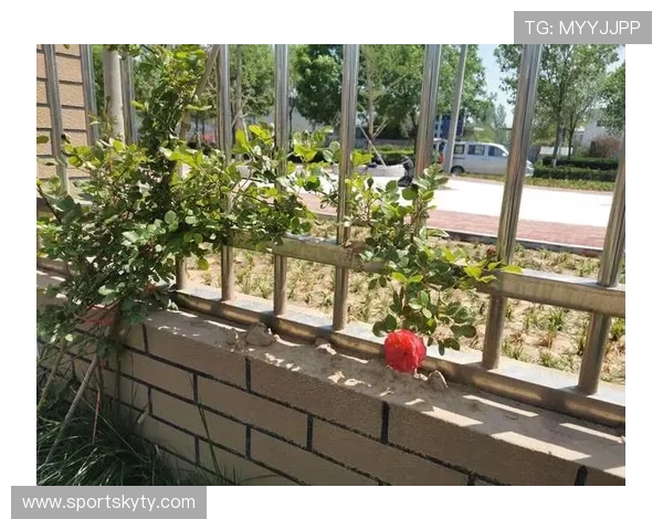 Kaiyun开云平台开户指南，详细流程与安全保障措施让你放心畅玩每一场游戏